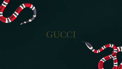 fondo de gucci